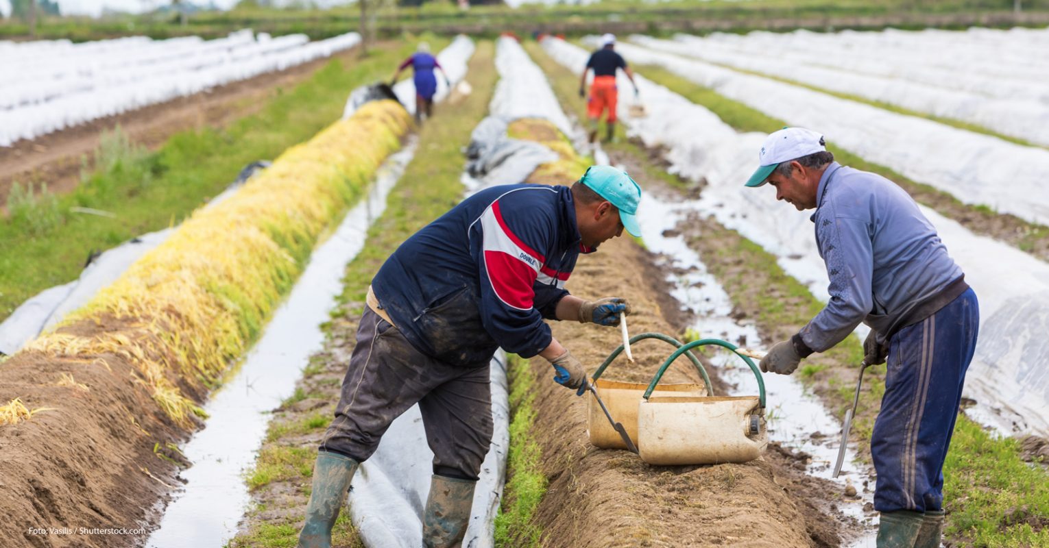 BMEL: Kurzfristige Beschäftigung und der Wert der Landwirtschaft