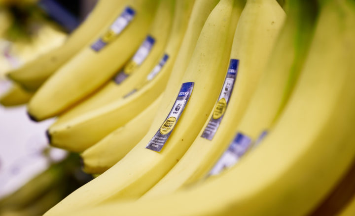 EDEKA und WWF: Erste Banane mit Süßwasserschutz
