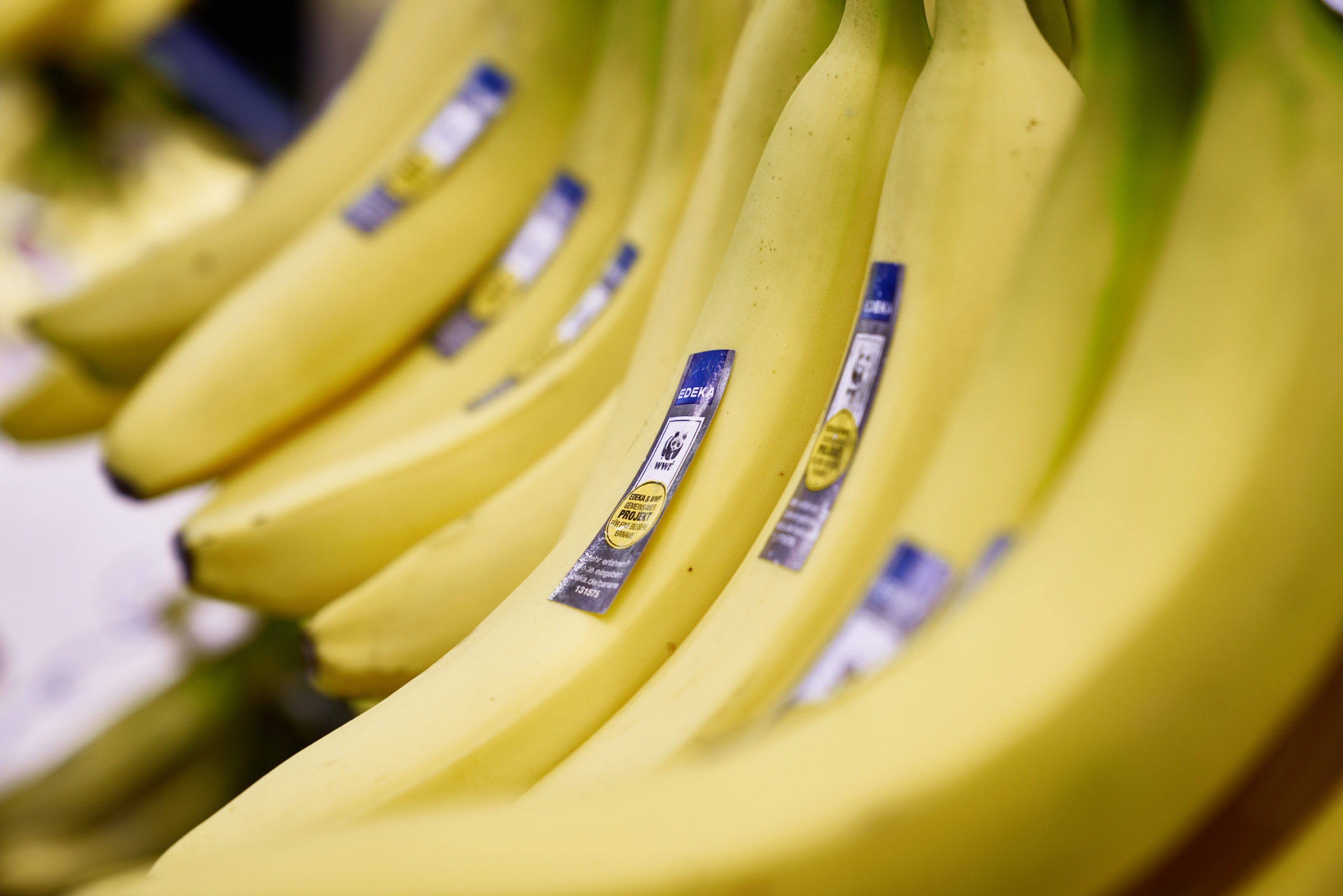 EDEKA und WWF: Erste Banane mit Süßwasserschutz