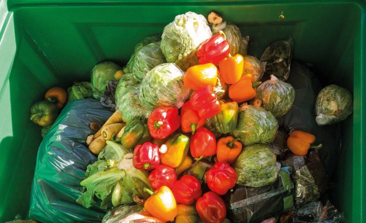 Deutsche Umwelthilfe und foodsharing setzen mit krummem Gemüse Zeichen gegen Lebensmittelverschwendung