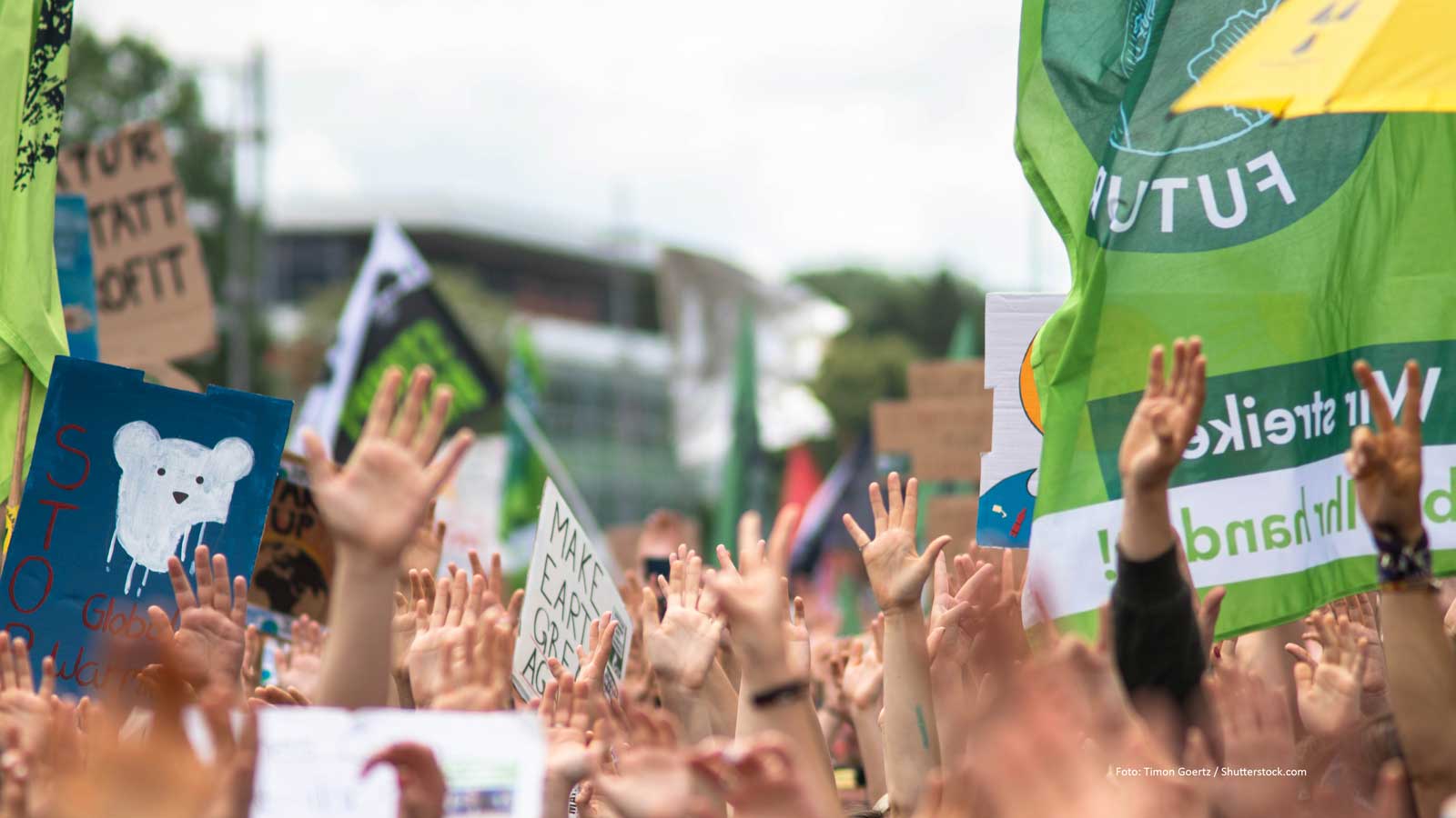 Fridays for Future Markenwahrnehmung