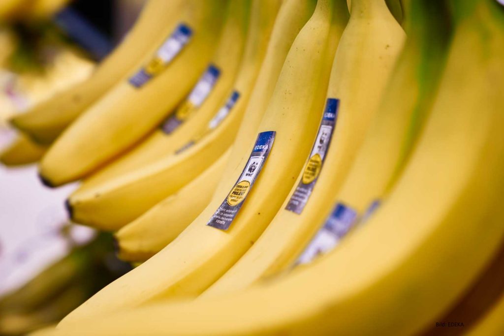 EDEKA und WWF Banane