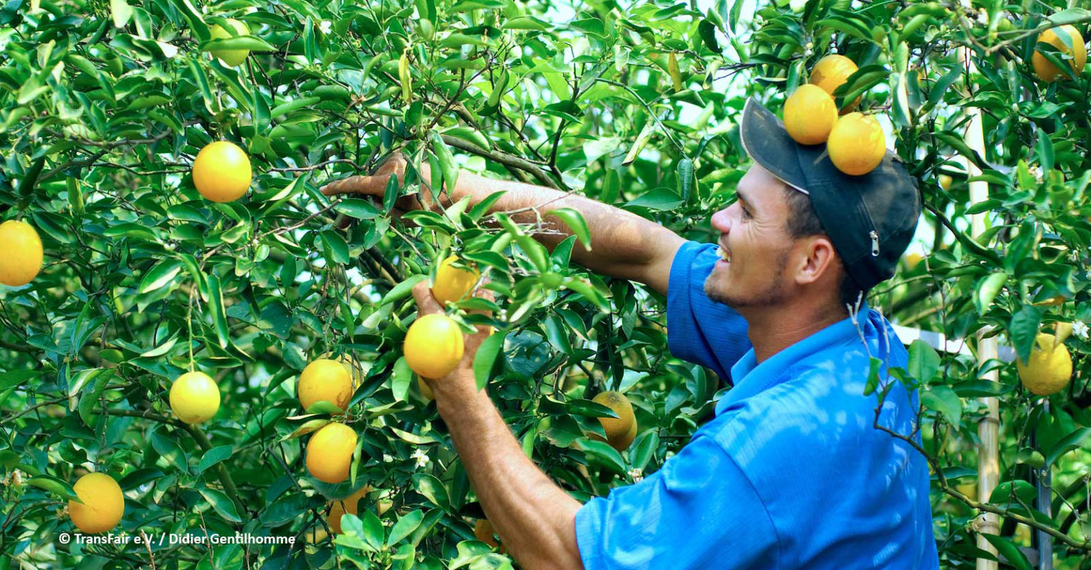Partnerschaft für Nachhaltigen Orangensaft (PANAO) gegründet