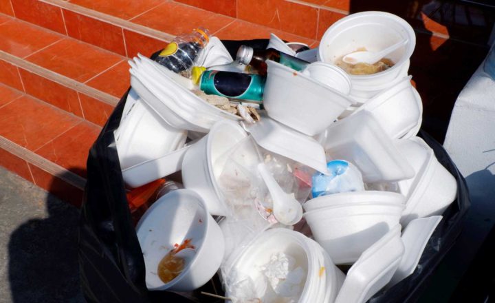 Lebensmittelverband:  Studie zur Müllvermeidung im Lockdown