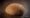 Das Brot des Jahres: Dreikornbrot