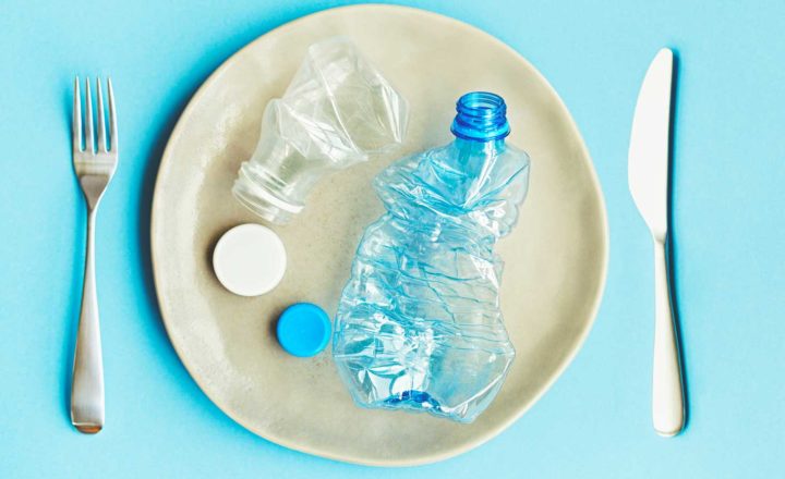 From Waste to Food – Lebensmittel aus Plastikmüll?