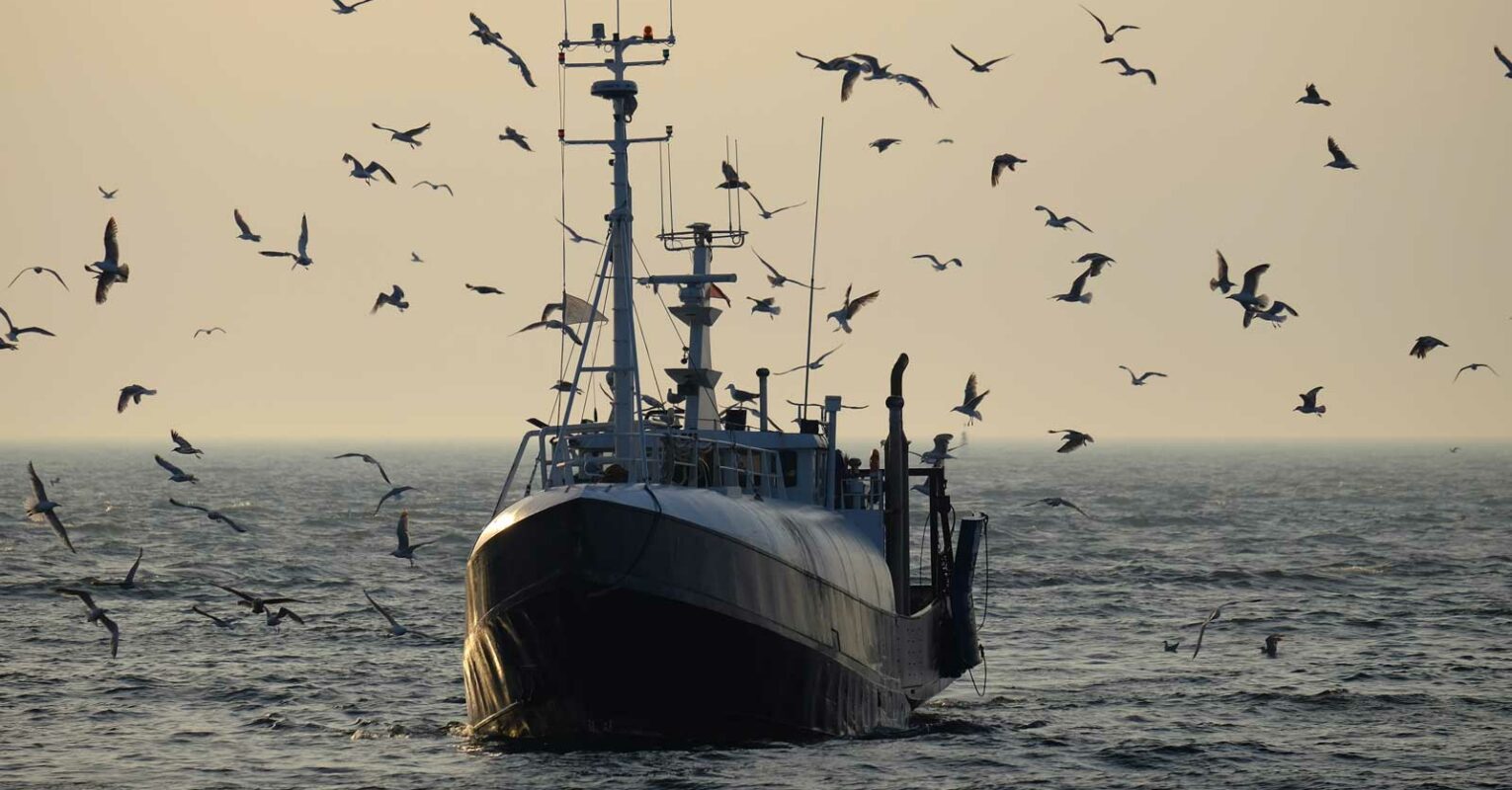 Ostsee-Fangquoten 2022 – Dorsch um knapp 90 % reduziert