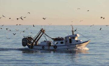 Fangquoten 2022 für Nordsee und Atlantik beschlossen