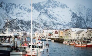 Die Skrei-Saison beginnt