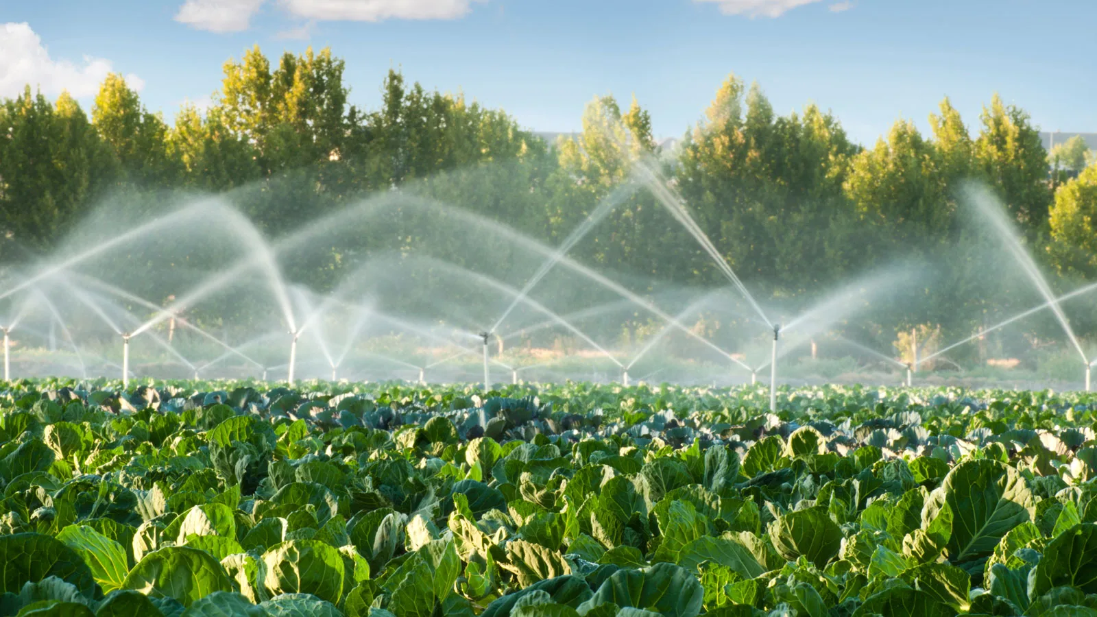 Wasser Lidl Landwirtschaft